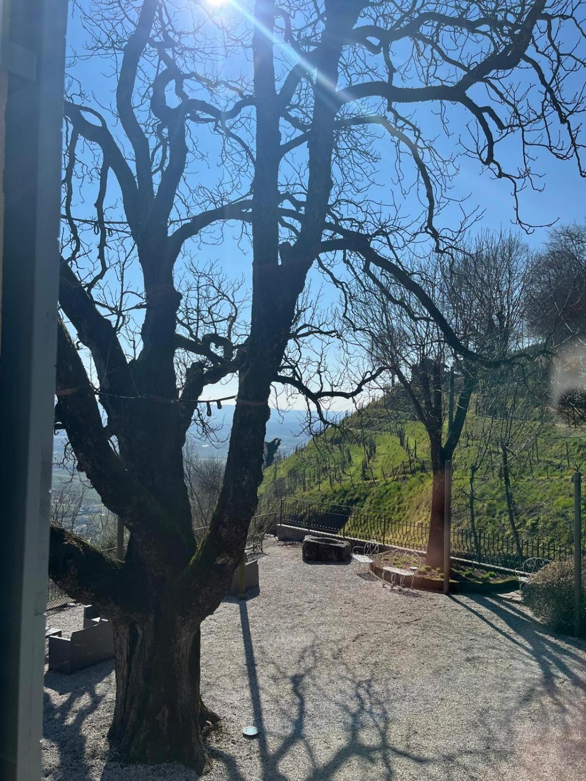 Locanda La Candola Farra di Soligo Dış mekan fotoğraf